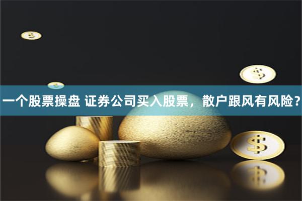 一个股票操盘 证券公司买入股票,散户跟风有风险?